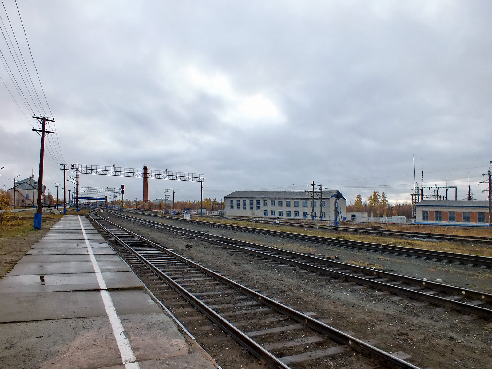 ЖД станция Ноябрьск 1 в Ямало-Ненецком автономном округе - Расписание  поездов и электричек, справочная жд вокзалов и станций, поиск дешевых жд  билетов